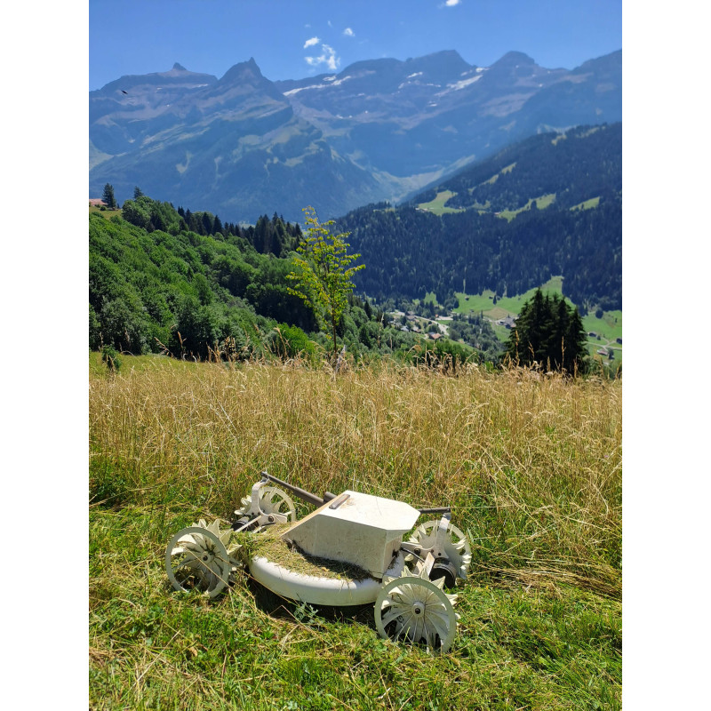 Tonte mulching de pentes raides | Fabien Caramelier