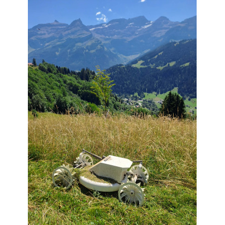 Tonte mulching de pentes raides | Fabien Caramelier